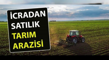 İstanbul Şile'de 12 dönüm tarla icradan satılık