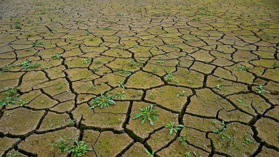 �stanbul'daki 3 baraj 'alarm' veriyor