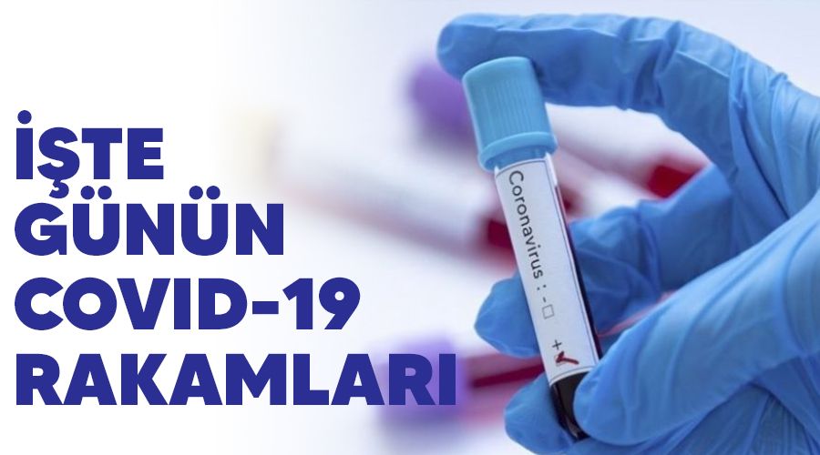 ��te g�n�n Covid-19 rakamlar�