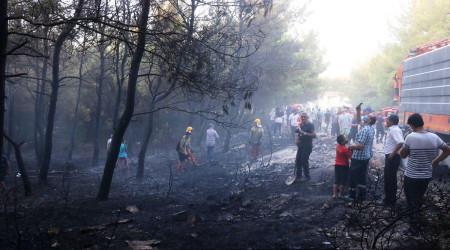 İzmir'de çıkan orman yangını kontrol altına alındı