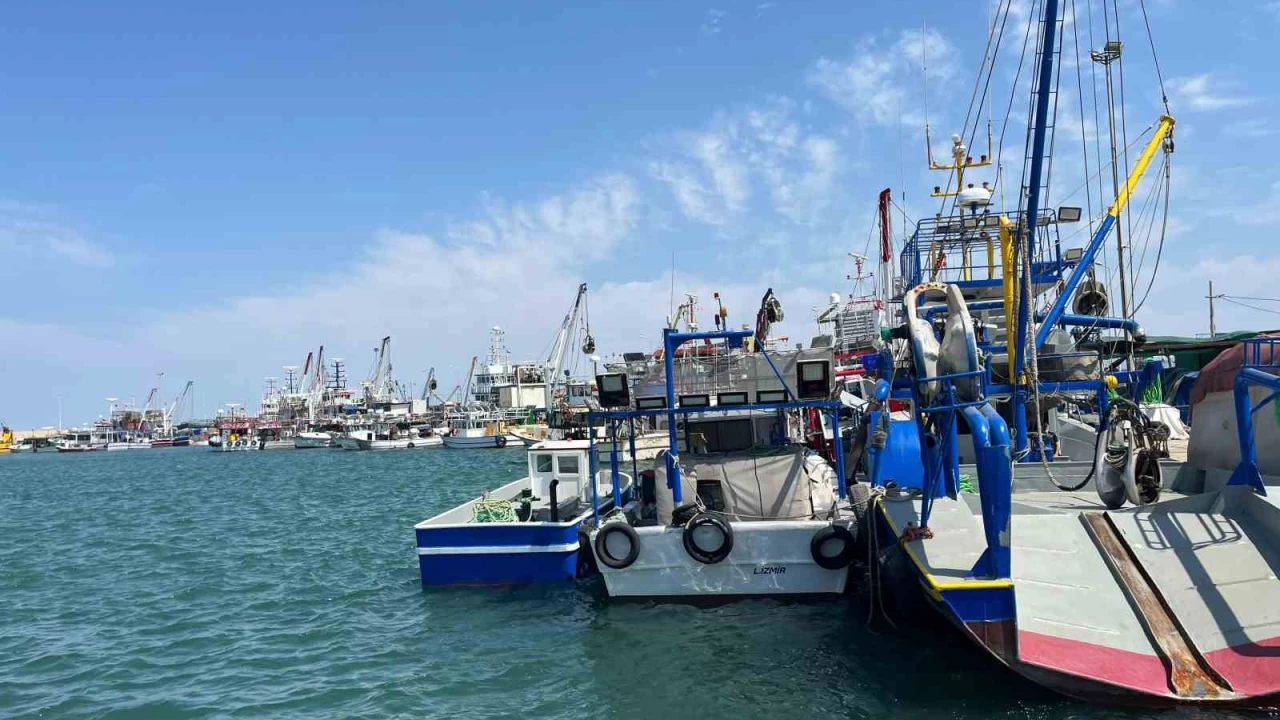 �zmir'de deniz kirlili�i bal��� vurdu