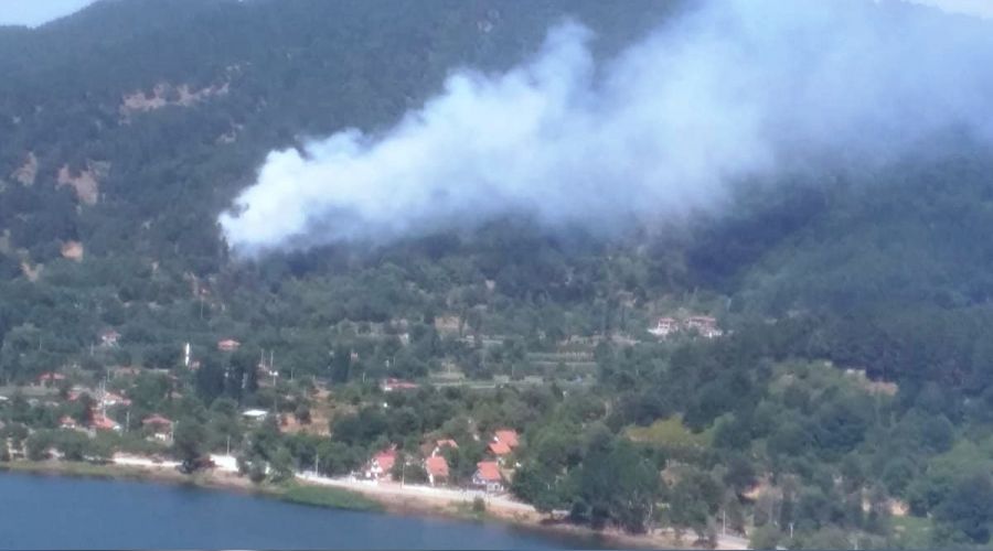 �zmir'de orman yang�n�