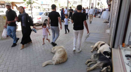 Kadını kurtarmak isterken kurban oldu