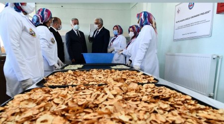 Kadınlar bir araya geldi, elma kurutma tesisi açtı