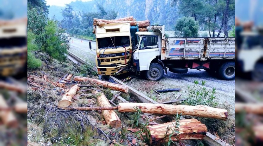 Kamyoncu karde�ler kafa kafaya �arp��t� 