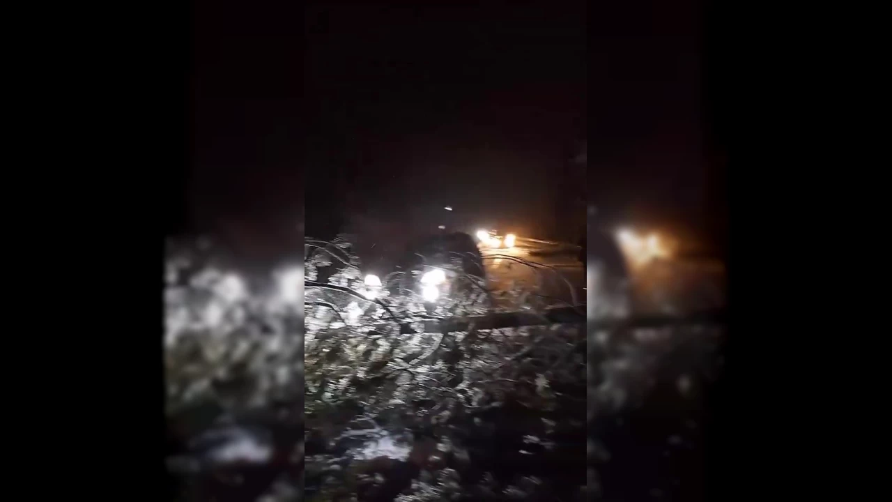 Kar nedeniyle aalar devrildi, karayolunda ulam aksad