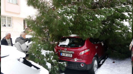 Kara dayanamadı, 2 aracın üstüne devrildi