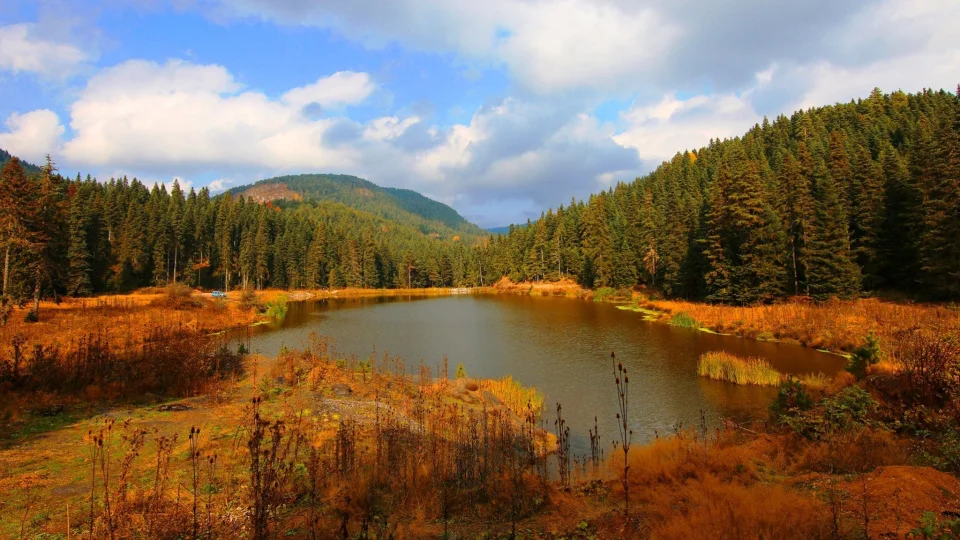 Karabük'ün doğa mirası: Sarıçiçek Yaylası