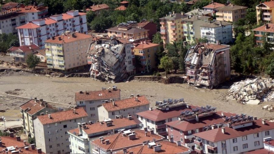 Karadeniz diken stnde