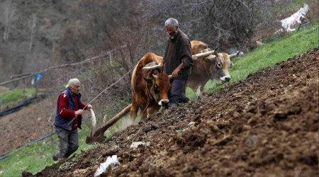 Karasaban ile üretime devam ediyorlar