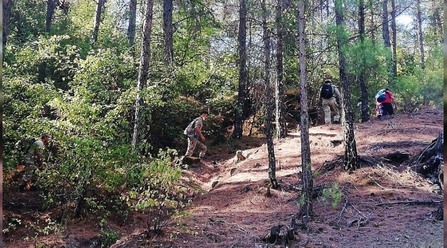 Kayıp kadın için seferber oldular