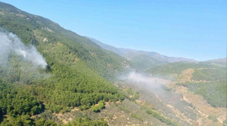 Kazdağlarındaki orman yangınında sabotaj şüphesi