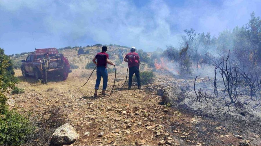 Kilis'te çıkan orman yangını söndürüldü