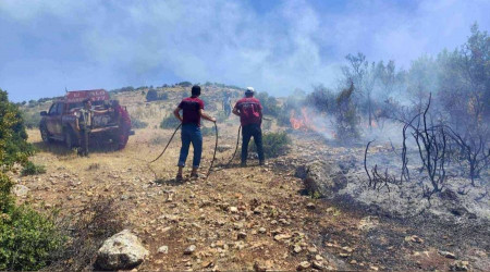 Kilis'te çıkan orman yangını söndürüldü