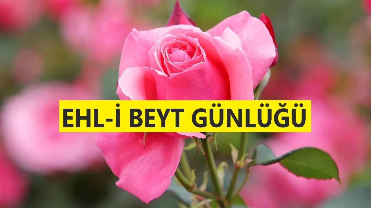 ‘Kimse Ehl-i Beyt ile kıyaslanamaz’