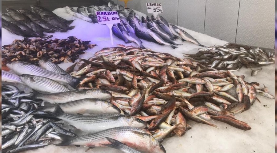 Korona bal�k fiyatlar�n� d���rd�