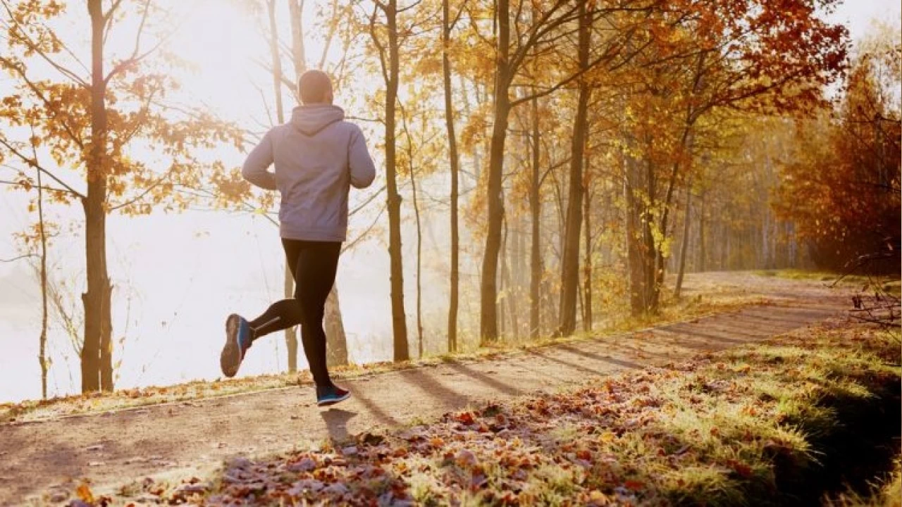 Ko�mak m� y�r�mek mi hangisi daha iyi?