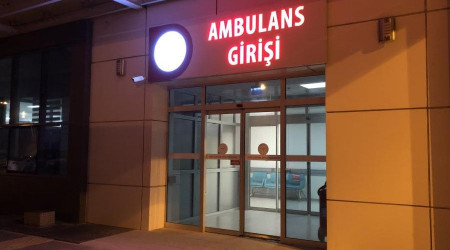 Köy muhtarının 'defne' tartışması kanlı bitti