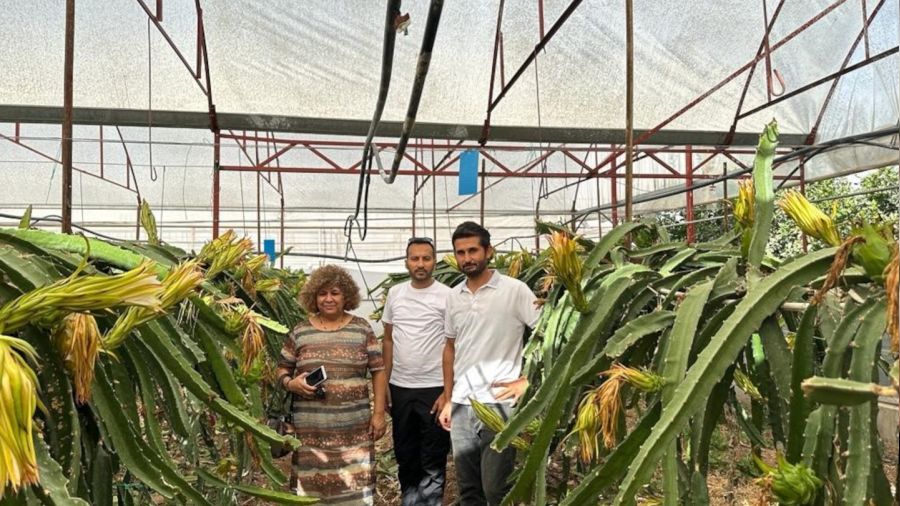 Kumluca'da tropik meyve yetitiricilii eitimi