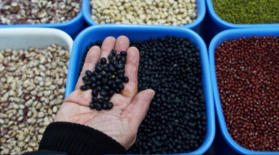 Küresel gıda fiyatları artıyor
