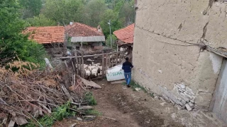 Ktahya'da kurtlar 11 koyunu telef etti