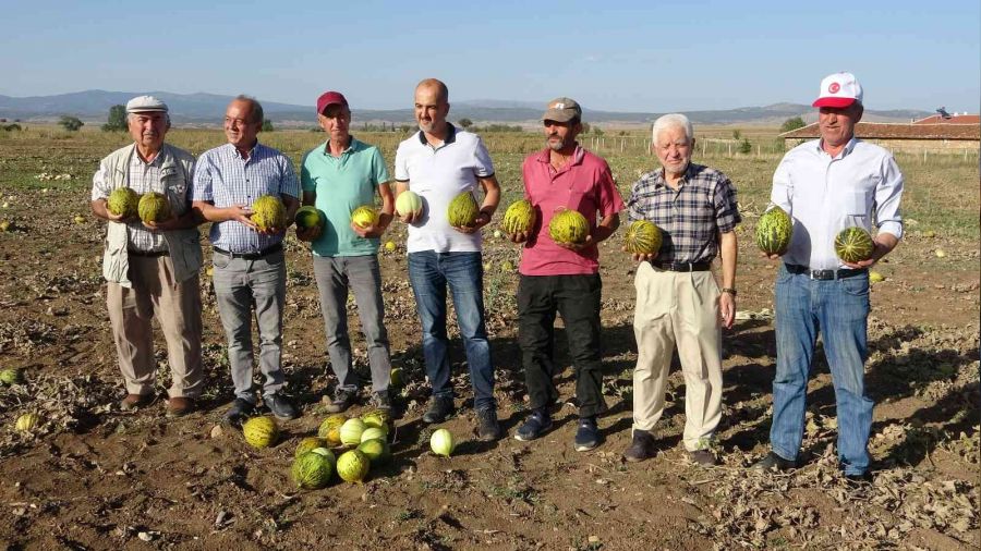 K�tahya'n�n me�hur kavunu tezgahlarda
