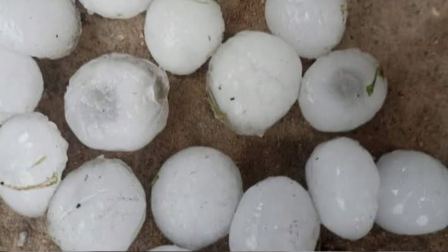 Malatya'da ceviz byklnde dolu yad