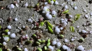 Malatya'y dolu etkili oldu