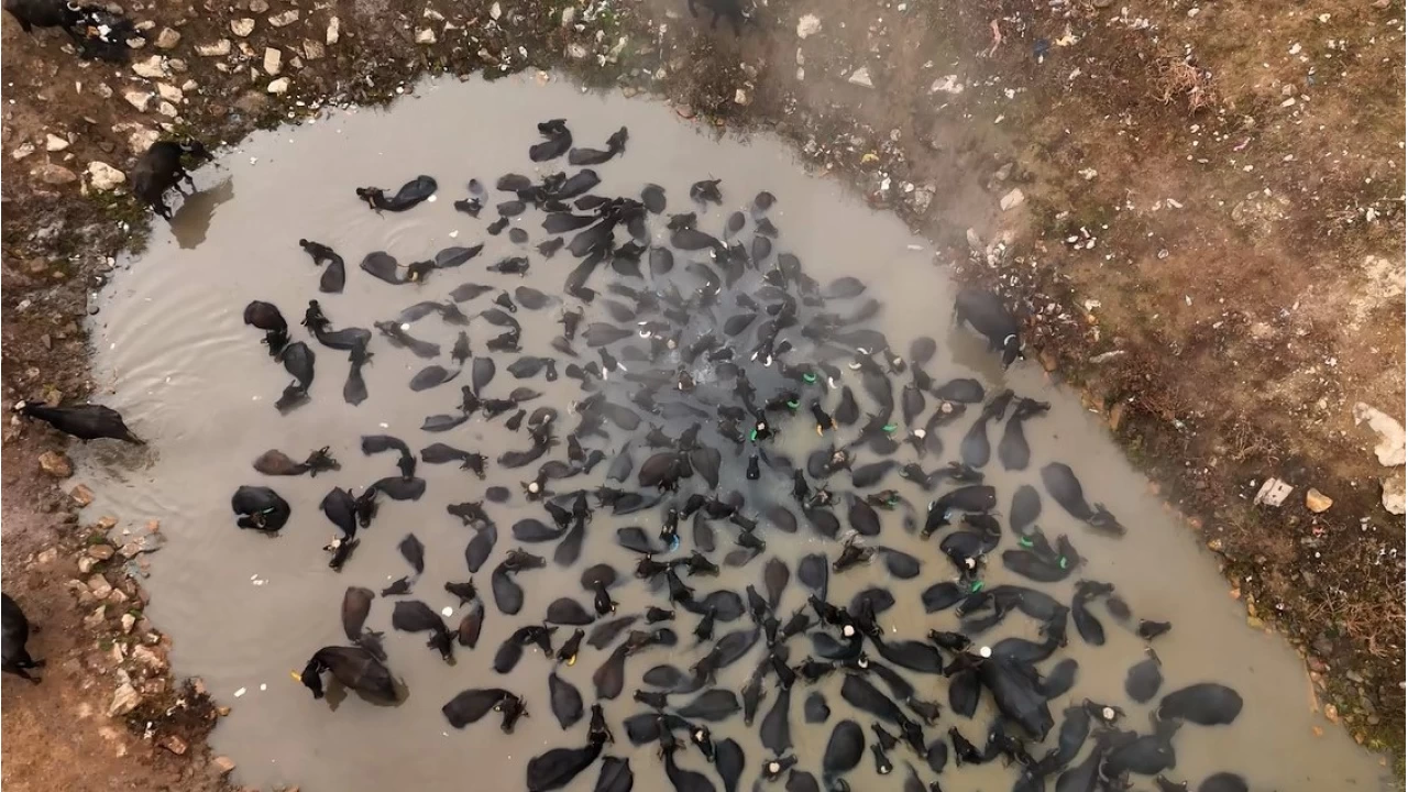 Mandalarn kaplca keyfi havadan grntlendi