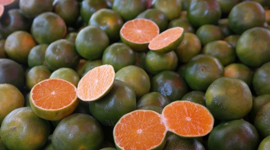 Mandalina tezghlarda yerini almaya balad