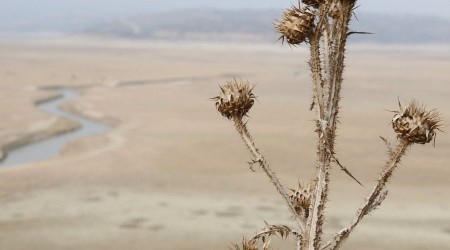 Manisa son 13 yılın en kurak mevsimini yaşıyor