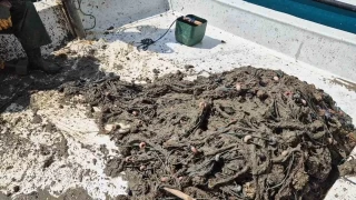 Marmara'da kabus: Ağlarla değil, müsilajla boğuştular