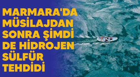 Marmara'da müsilajdan sonra şimdi de hidrojen sülfür tehdidi