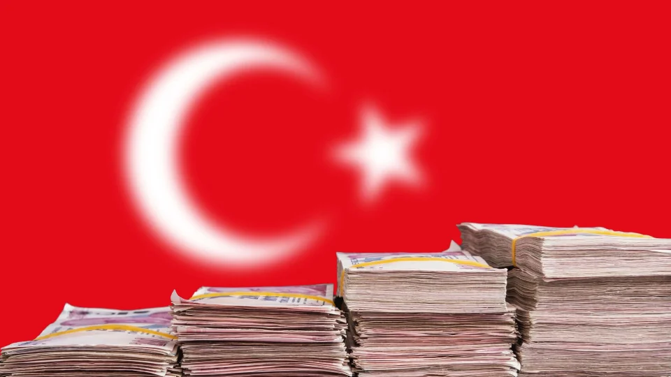 MEM’e göre devletin ekonomideki rolü