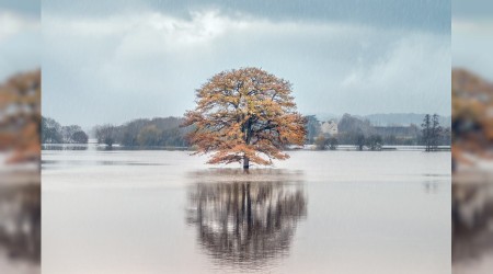 ‘Mescitler Allah’ın yeryüzündeki evleridir’