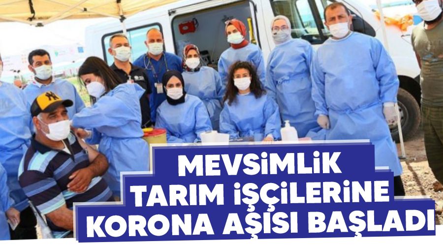 Mevsimlik tarım işçilerine korona aşısı başladı