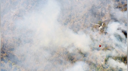 Muğla ve İzmir'de orman yangını