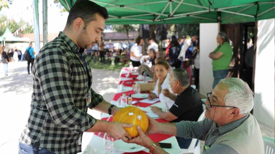Mu�la'da 'En g�zel kavun' yar��mas�