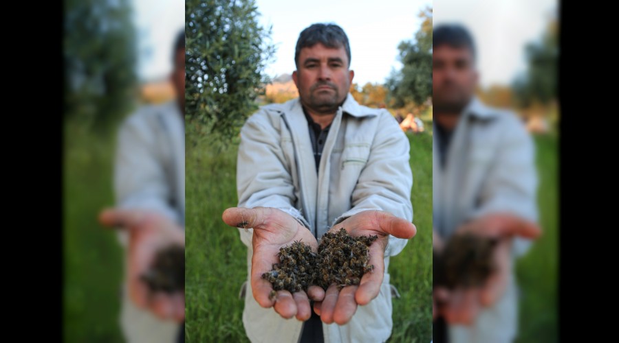 Muğla'da ürküten gelişme