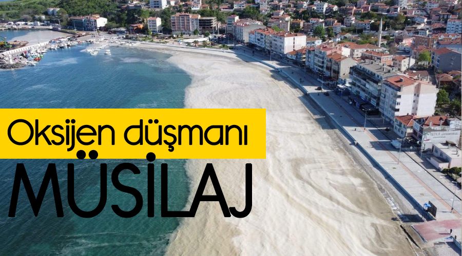 M�silaj oksijen d��man�