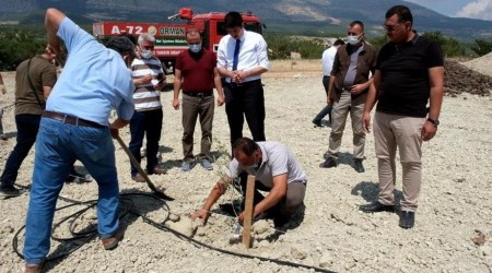 Mut’ta zeytin gen bahçesi kuruldu