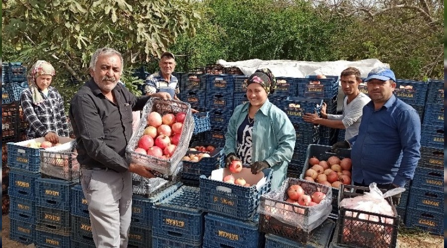 Nar piyasas belirsiz