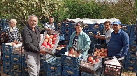 Nar piyasas belirsiz