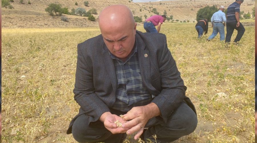 Nohut tarlalar� doludan zarar g�rd�