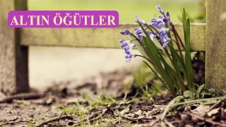 Ölümü tefekkür etmek gerekir