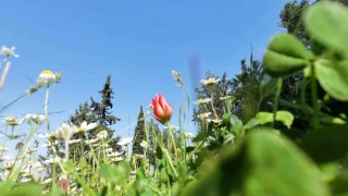 �mr� 10 g�n, koparman�n cezas� araba paras�