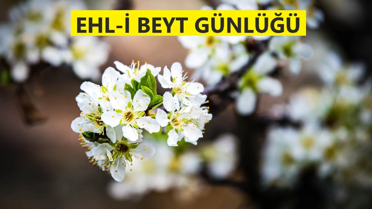 ‘Onları itaate davet et’