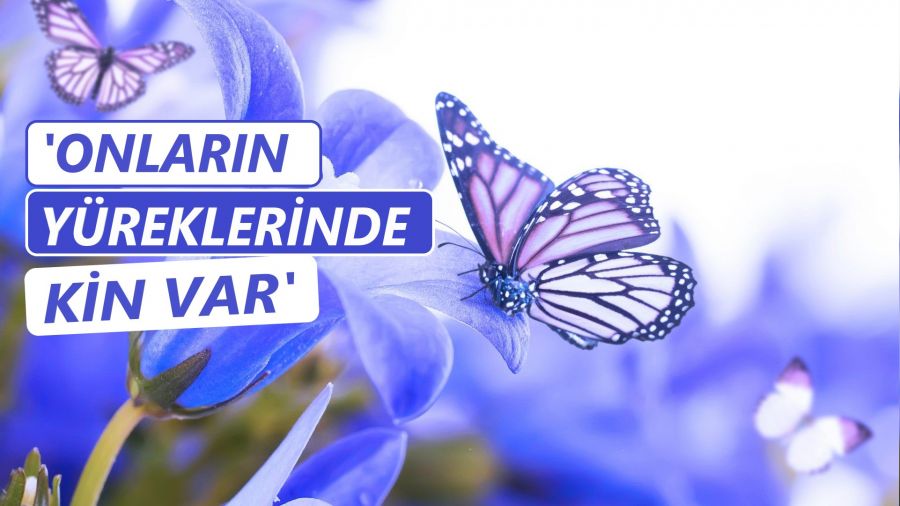 ‘Onların yüreklerinde kin var’