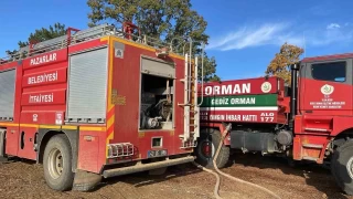 Orman yangını 3 saatte kontrol altına alındı
