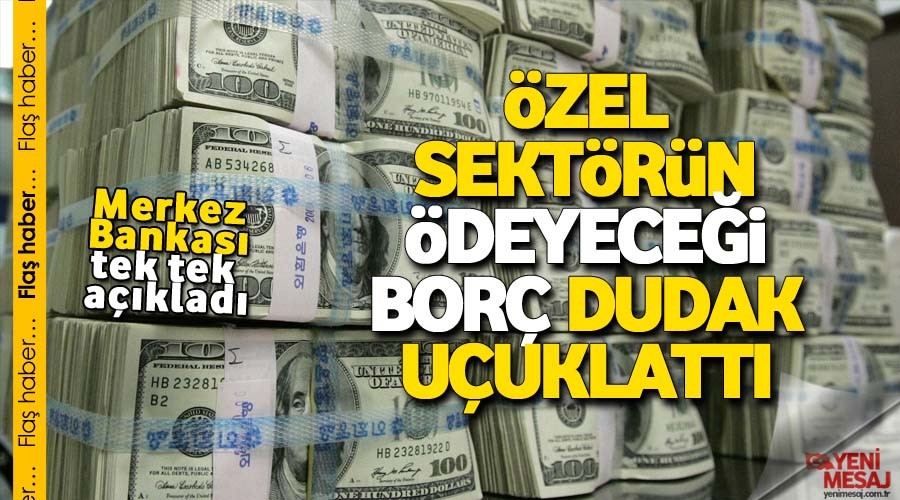 zel sektr 70.5 milyar dolar bor deyecek